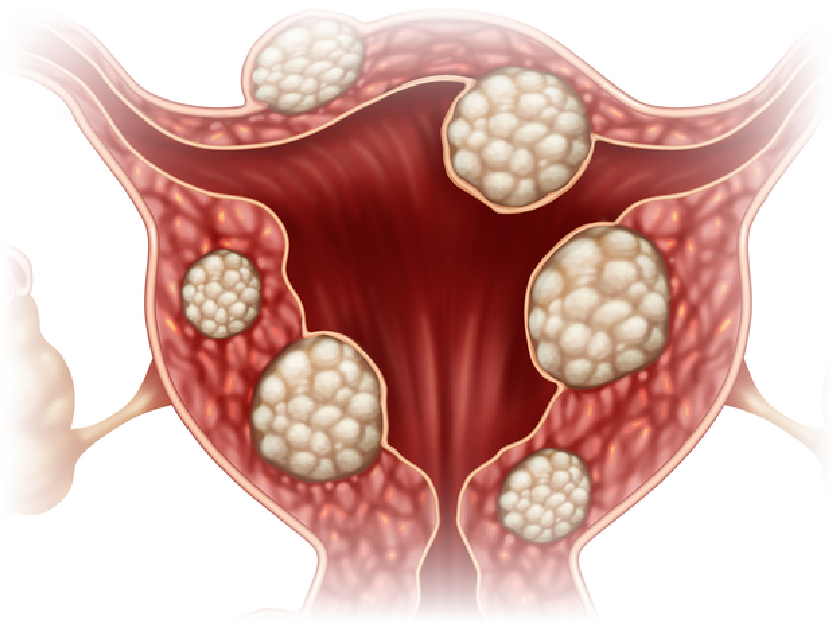 240810 WEBSITE BIORIC-08