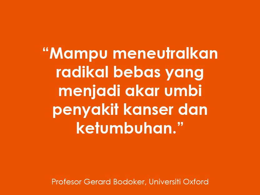 240810 WEBSITE BIORIC-34