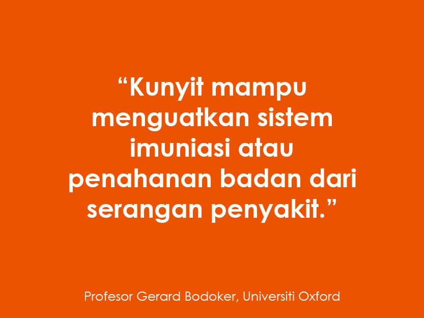 240810 WEBSITE BIORIC-35