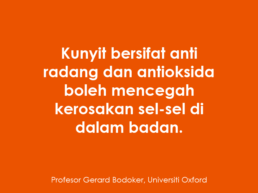 240810 WEBSITE BIORIC-36