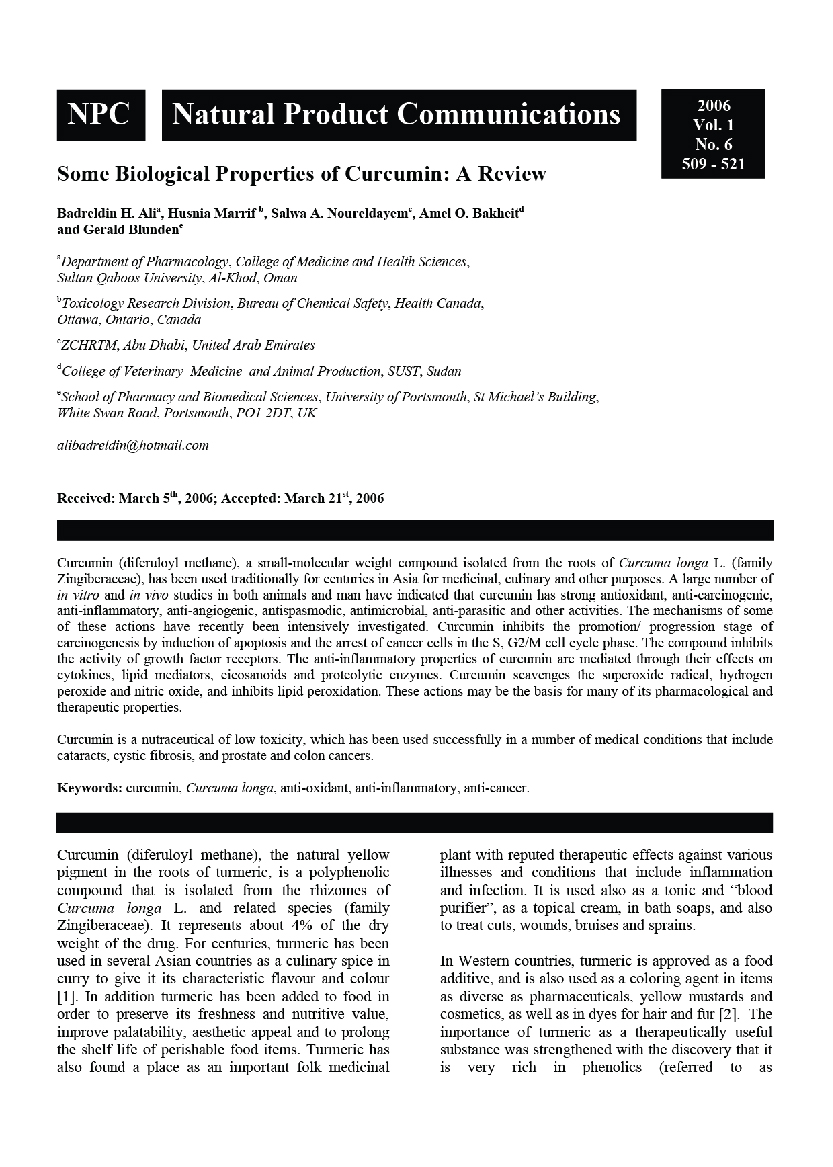 240811 RESEARCH BIORIC-01