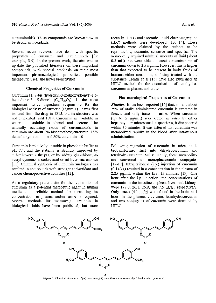 240811 RESEARCH BIORIC-02