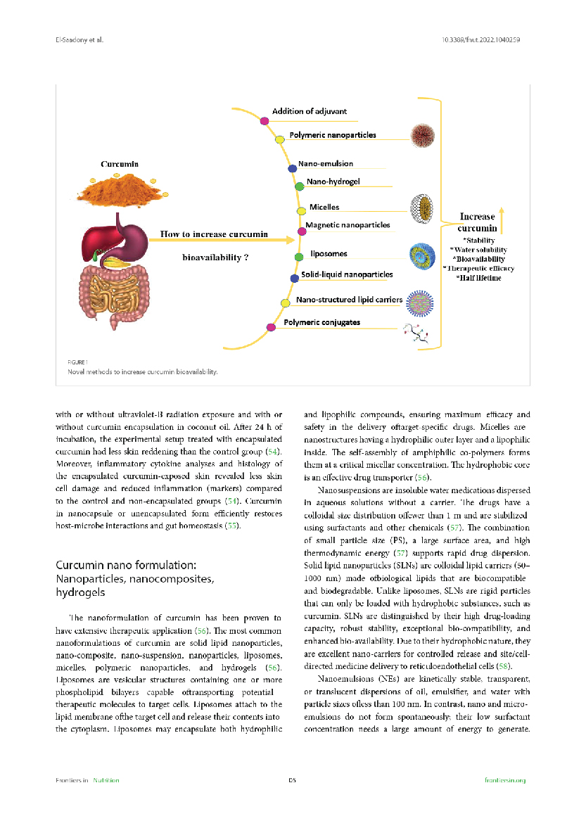 240811 RESEARCH BIORIC-04