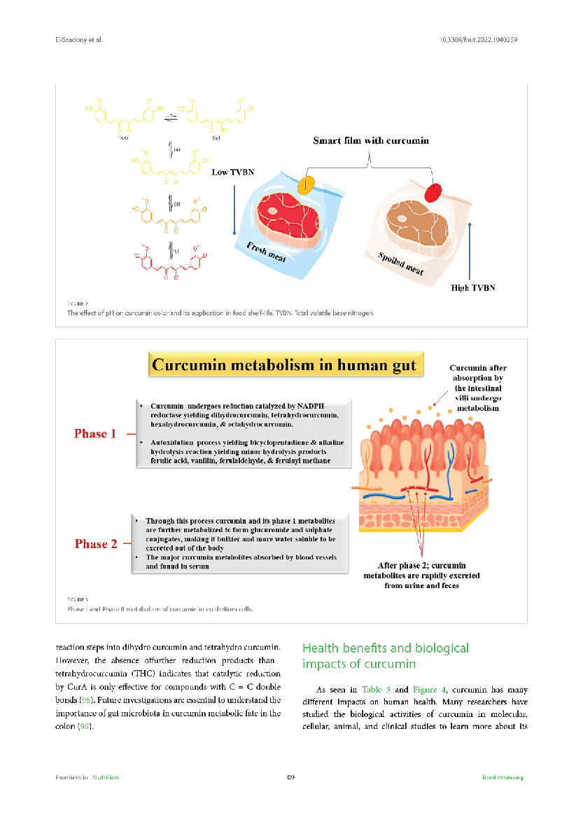 240811 RESEARCH BIORIC-05